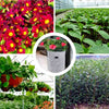 SelfGard - Vegetable growing bag