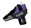 Personalised Dog Harness
