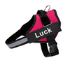 Personalised Dog Harness