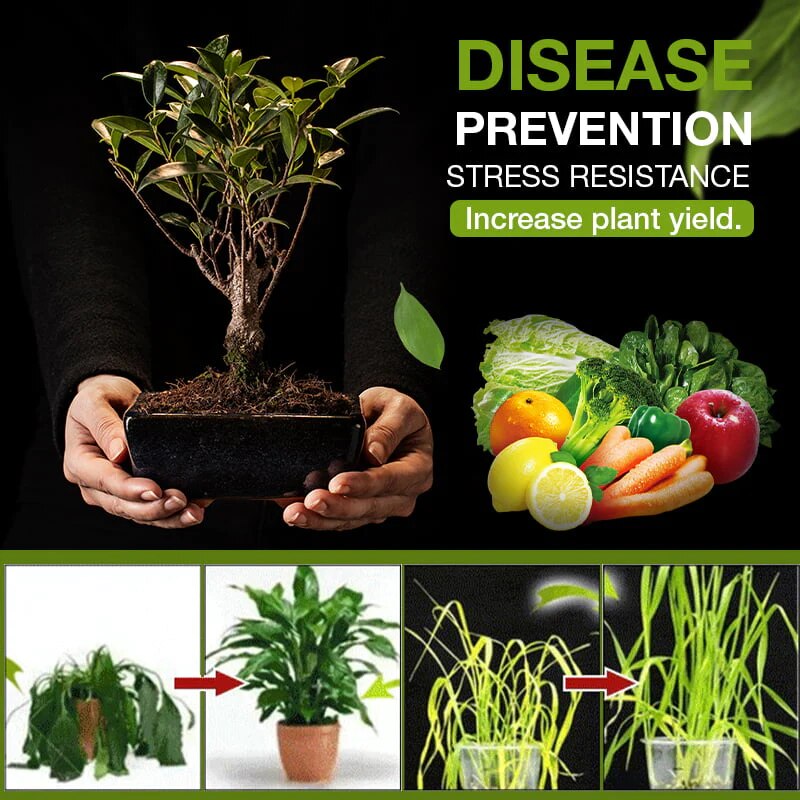 () MagicGrow™ - Improve soil fertility in 3 days!