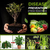 () MagicGrow™ - Improve soil fertility in 3 days!