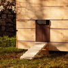 50% discount | ChickGuard™️ Automatic chicken coop door【Last day discount】