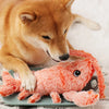 Myloveleypet - INTERACTIVE DOG TOYS
