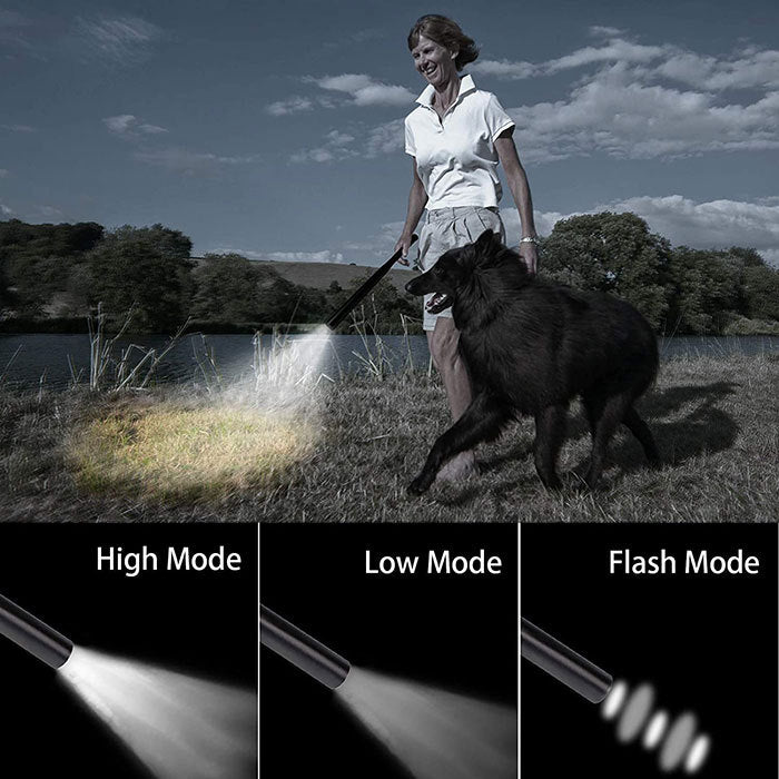 Baseball Bat Style Flashlight.