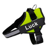 Personalised Dog Harness