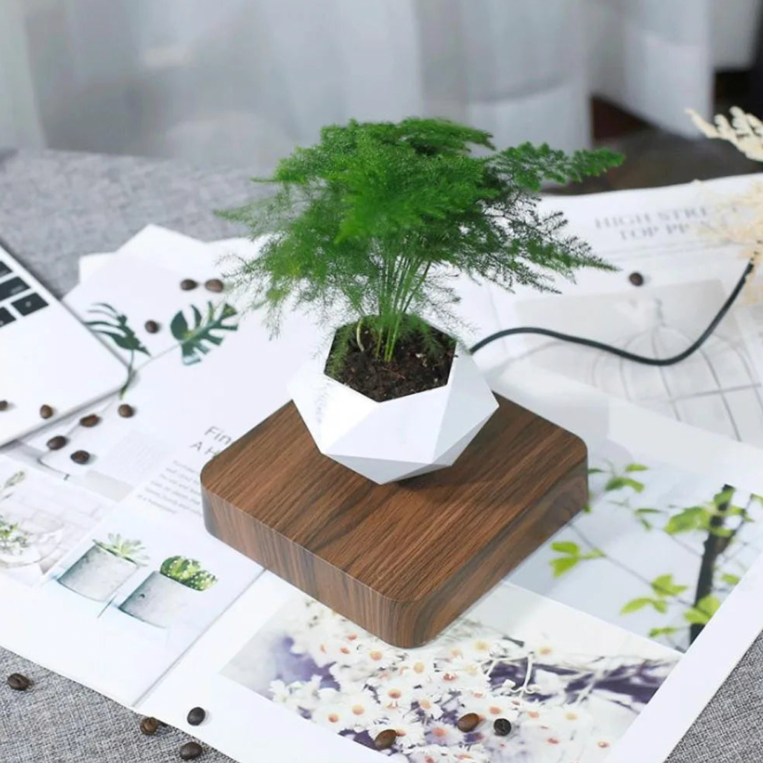 LeviPot™ - Floating MystiGrove Bonsai Pot