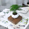 LeviPot™ - Floating MystiGrove Bonsai Pot