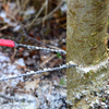 PocketChainsaw™ - Perfect mini chainsaw for woodworking【Last day discount】