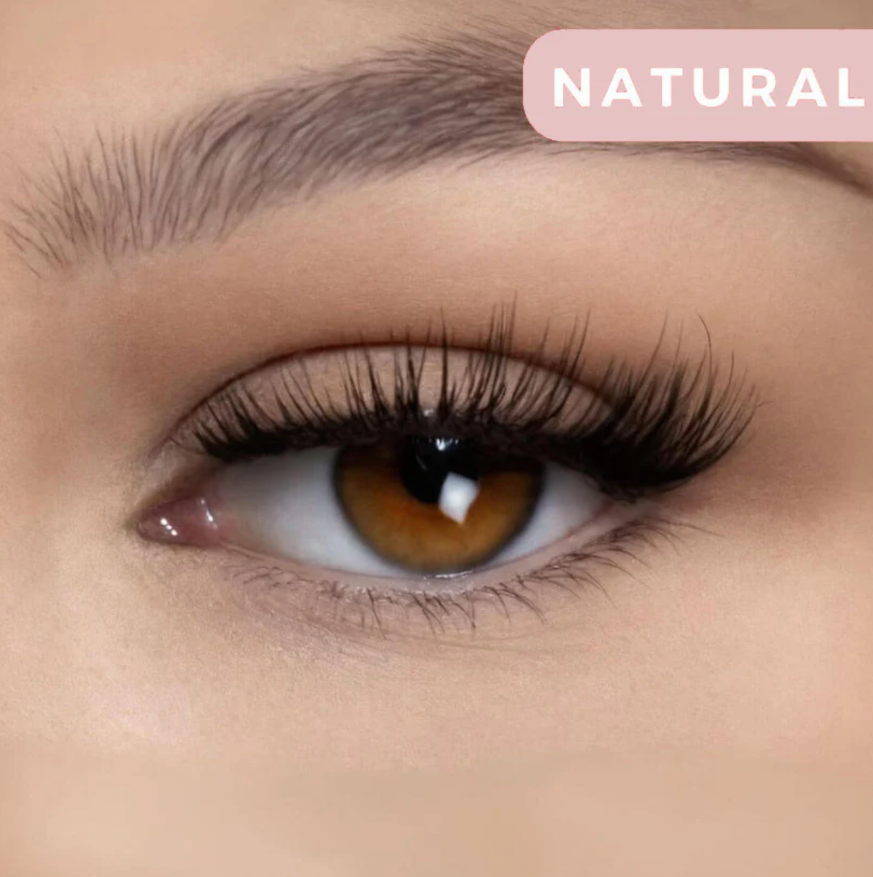 Magnilash Premium Magnetic Eyelashes