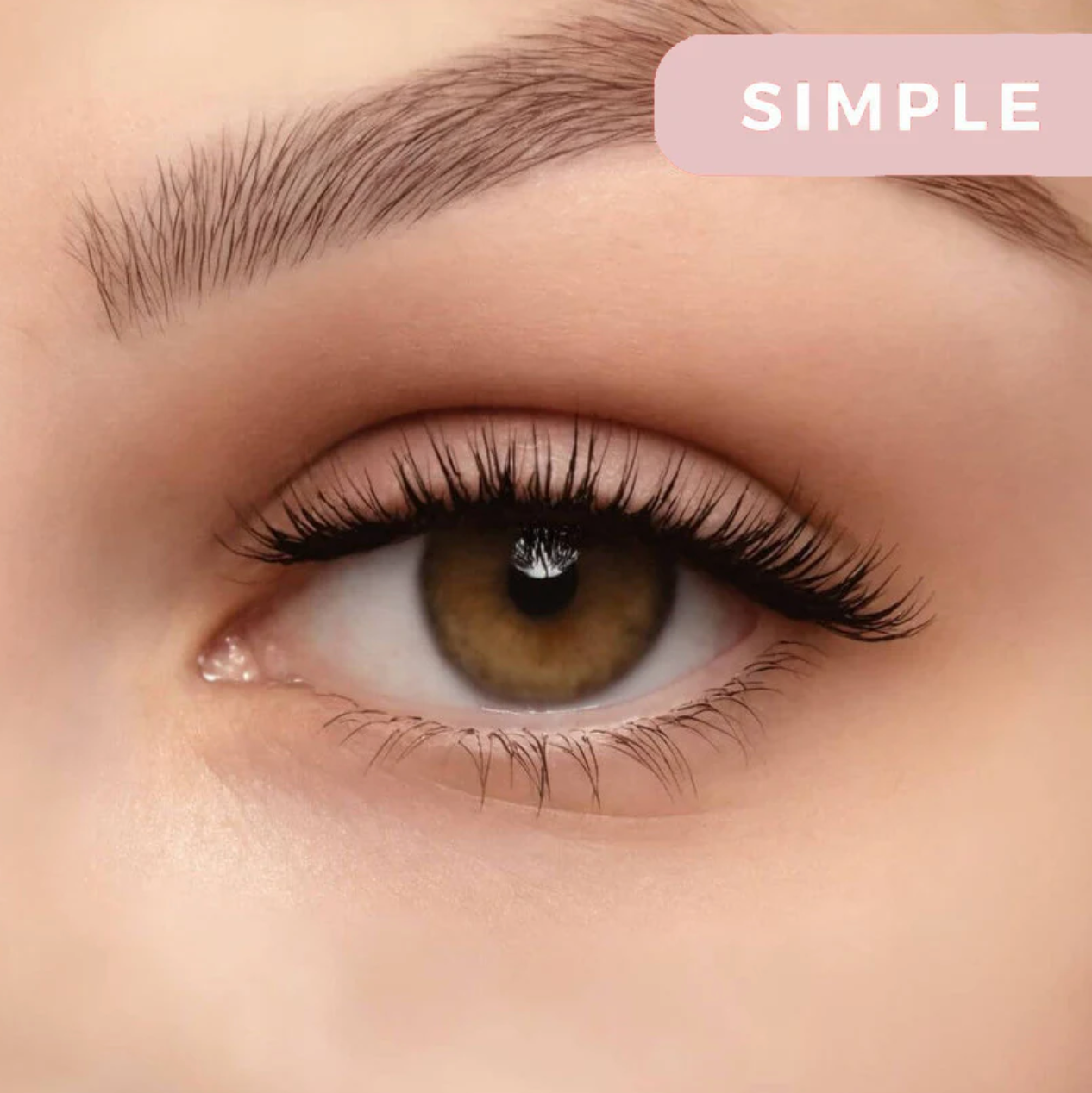 Magnilash Premium Magnetic Eyelashes