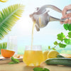FreshlyPour™ - Stainless steel manual juicer