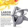 FreshlyPour™ - Stainless steel manual juicer