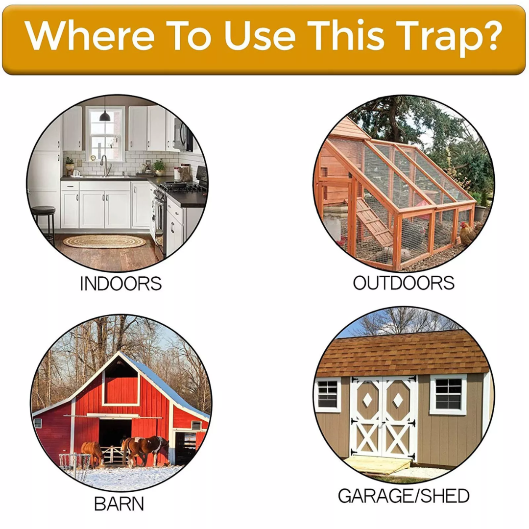 Flip & Slide™ | Catch pests the animal-friendly way!