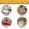Flip & Slide™ | Catch pests the animal-friendly way!