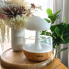 CloudDrip™ - Raincloud humidifier【Last day discount】