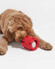 | FetchFun™ | Tennis dog toys