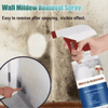 MildewGuard™ - Mold Cleaner