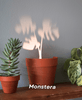 Aldorian™-Light Projections Plant Pot