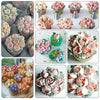 7+7 Free | BeautyBake - Set of 14 pieces incl. FREE piping bag
