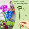 EasyStake™ - Support plants