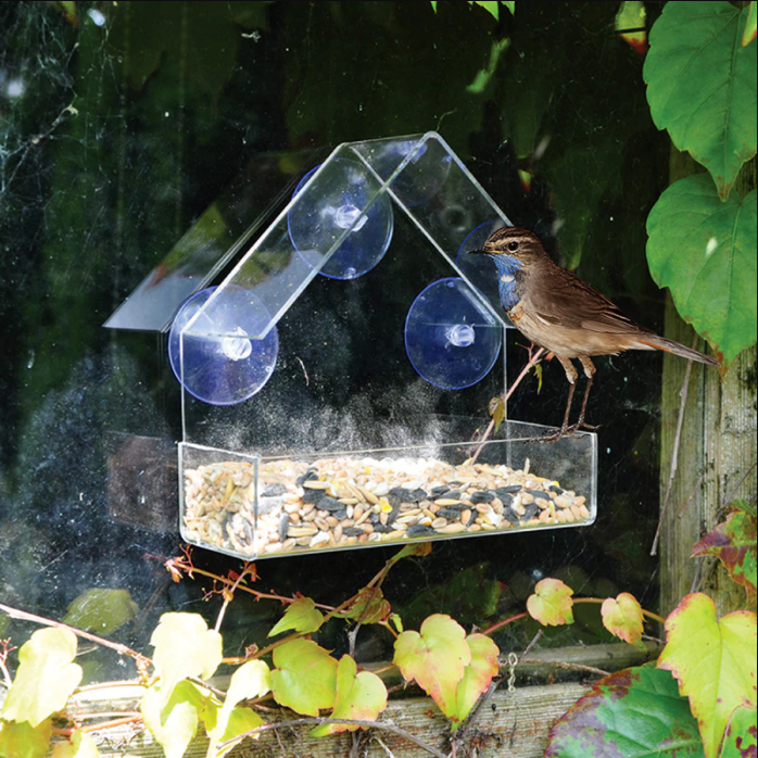 VogelHaus™ - Mountable clear birdhouse【Last day discount】