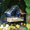 VogelHaus™ - Mountable clear birdhouse【Last day discount】