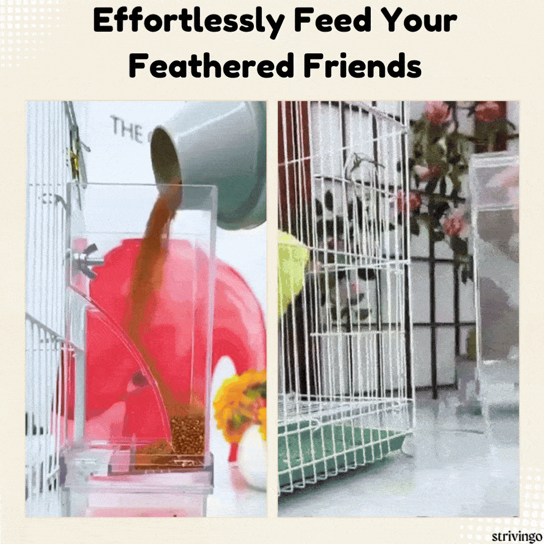 | Autofeed No Mess Automatic Bird Feeder
