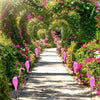 1+1 Free | Garden Flamingo™️ - Garden decoration【Last day discount】