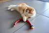 () SnakeToy™ - Smart Snake toy for your cats!