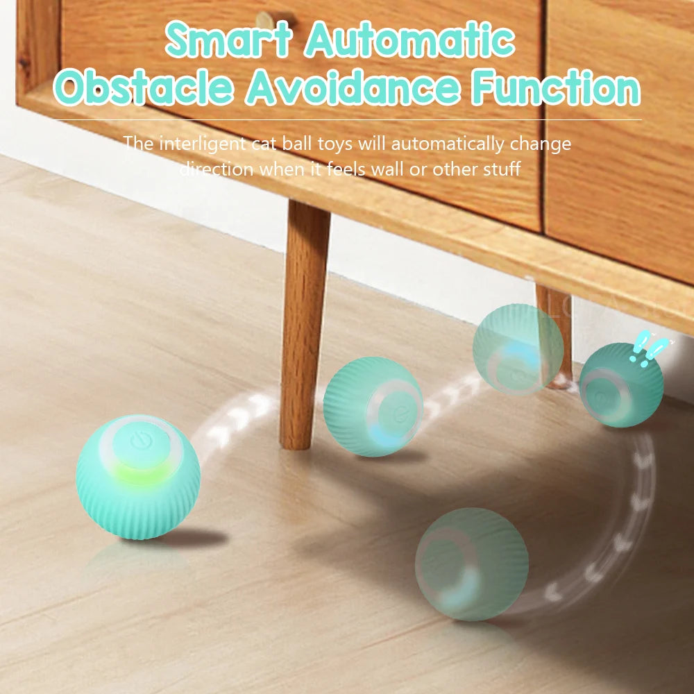 CatDance™ - Activate your cat's natural instincts!