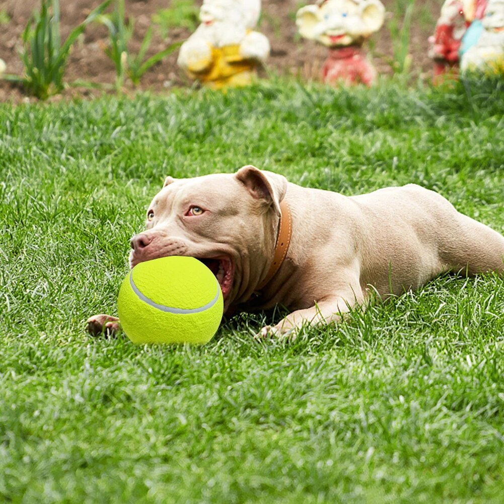Gianti™ | Monster tennis ball for dogs