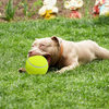 Gianti™ | Monster tennis ball for dogs