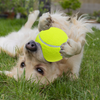 Gianti™ | Monster tennis ball for dogs