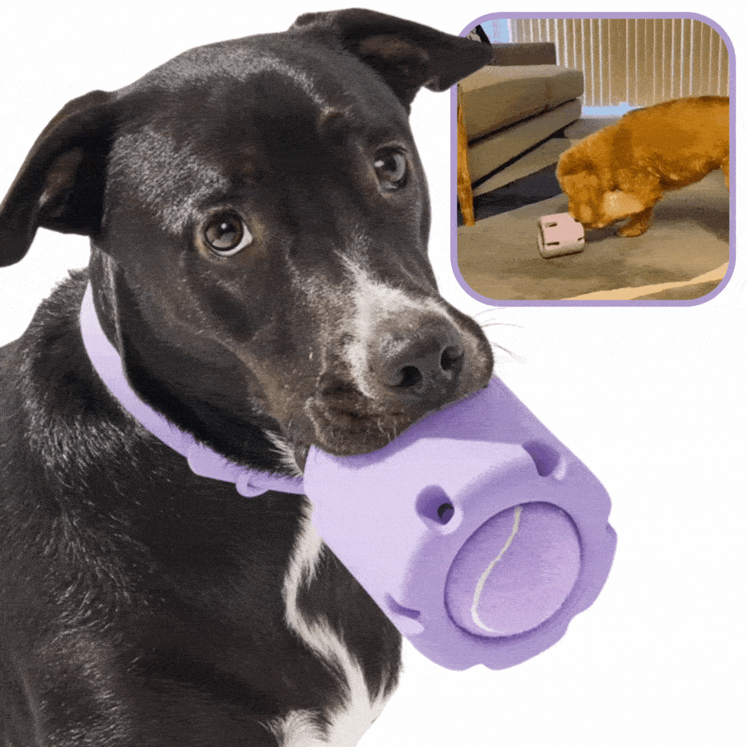 Chewbie™ Tennis Dog Chew Toy