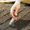 SyringeSeeder™ - Syringe Seed Dispenser