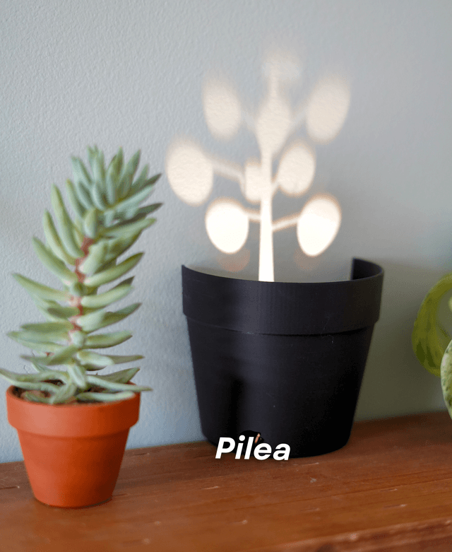 Aldorian™-Light Projections Plant Pot