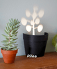 Aldorian™-Light Projections Plant Pot