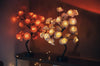 Roseglow™ - Rose tree lamp forever