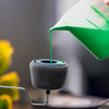 PaintEase | Simplify your home renovation!