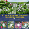 Solar Flare™ - Turn your garden into a nocturnal oasis!