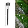 Solar Flare™ - Turn your garden into a nocturnal oasis!