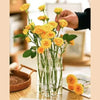 MultiVase™ - Folding tubular flower vase