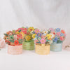 Florapop 3D Pop-Up Flower Greeting Card