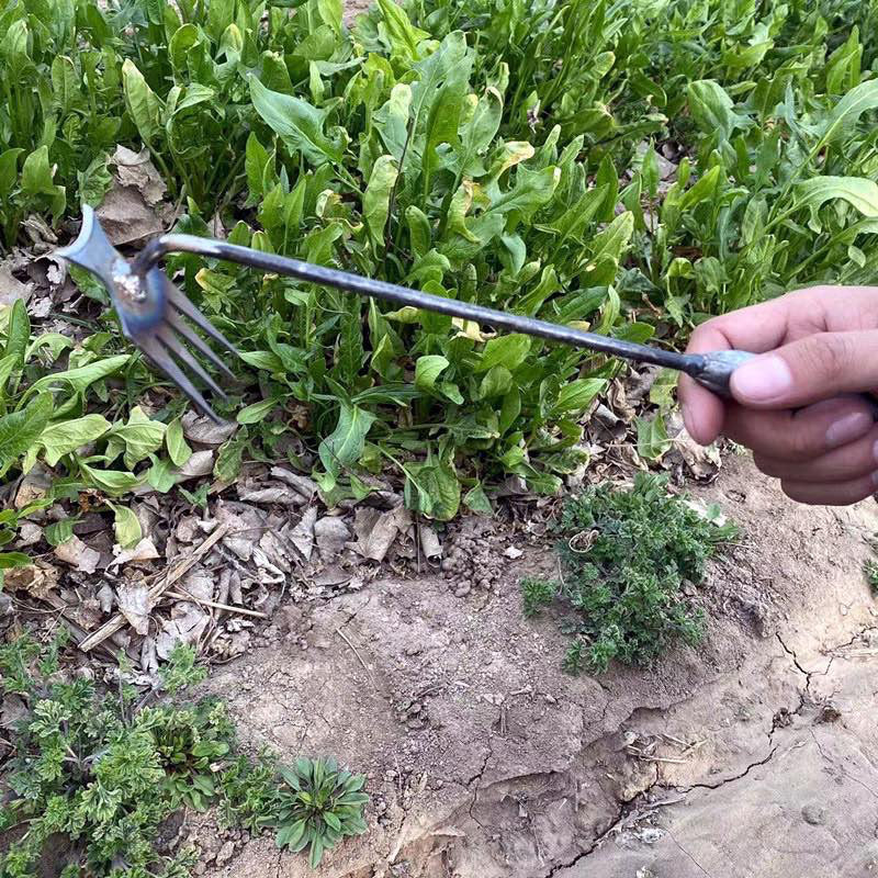 | Sturdy Manganese Steel Hand Weeder