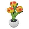 Tulip™️ - Tulip table lamp