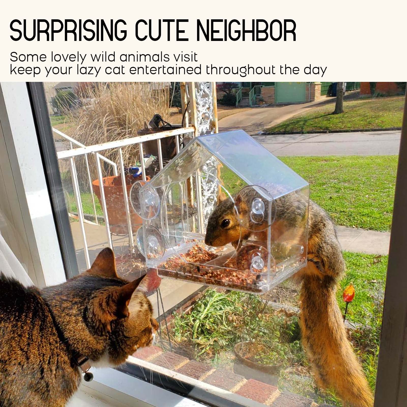 TweetieFeeder™ - Acrylic bird feeder for exterior windows [last day discount]