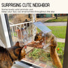 TweetieFeeder™ - Acrylic bird feeder for exterior windows [last day discount]