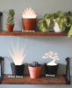 Aldorian™-Light Projections Plant Pot