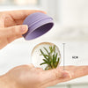 FrostChill - Bulb Ice Cube Molds