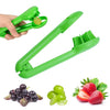 Fruit Cutter |